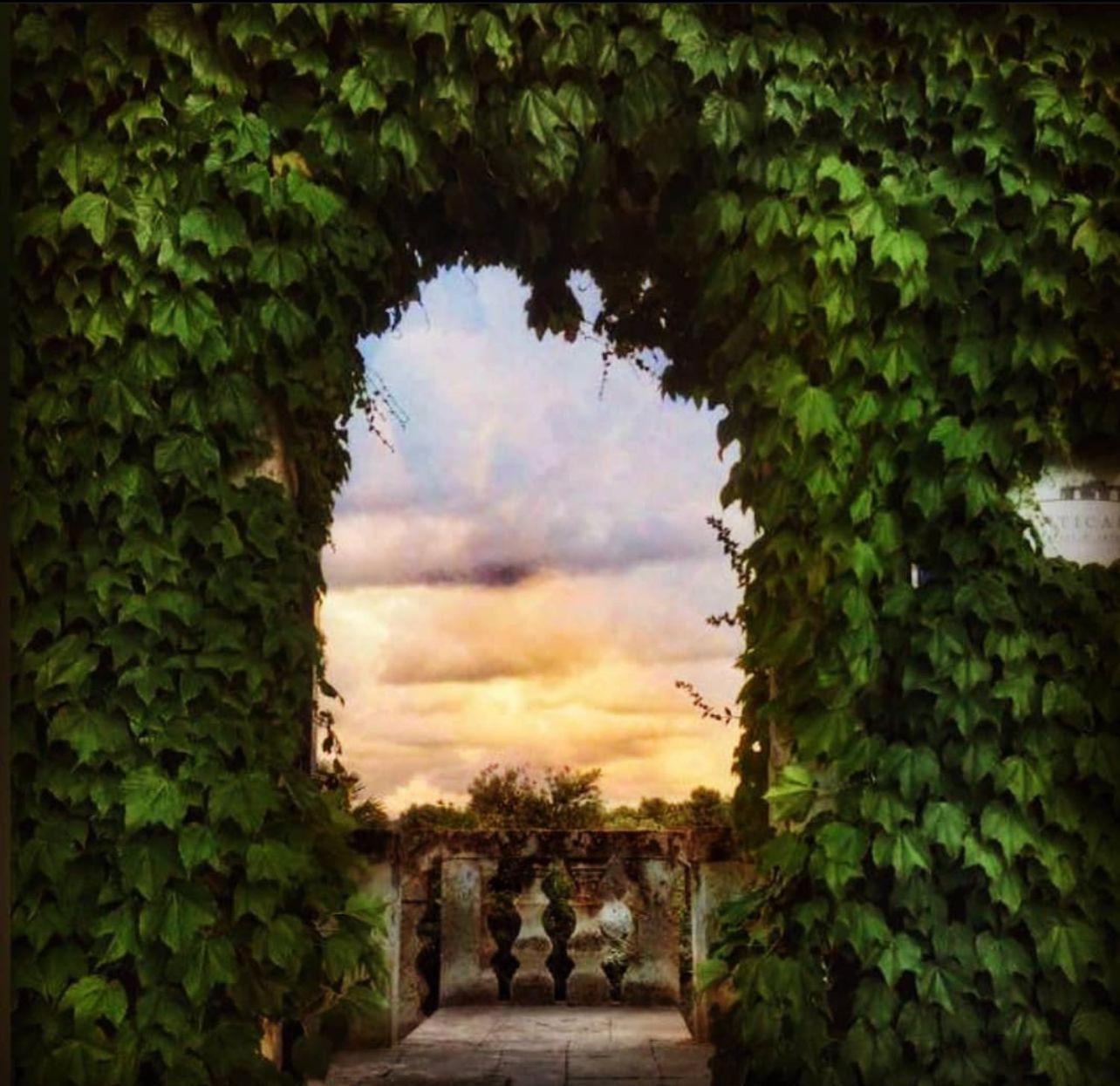 Masseria Anticalama Resort & Agriturismo Fasano Esterno foto